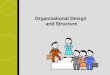 Org. structure and design3