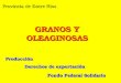 Provincia de Entre Ríos GRANOS Y OLEAGINOSAS Producción Derechos de exportación Fondo Federal Solidario