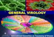 Virology - Prac. Microbiology