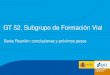 GT 52. Subgrupo de Formación Vial Sexta Reunión: conclusiones y próximos pasos