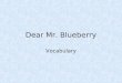 Dear Mr. Blueberry Vocab