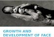 Growth and development of face