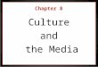 Ibahrine Chapter 8 Culture And Media