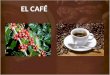 Café es la bebida que se obtiene de los frutos y semillas de la planta del café o cafeto (Cofeea) El café es la tercera bebida más consumida del mundo
