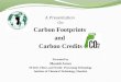Carbon Footprints and Carbon Credits