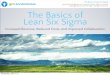 Lean Six Sigma Basics