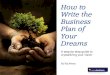 Business plan-book