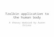 Tzolkin application to the human body