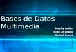 Bases de Datos Multimedia Nevily Aular Gino Di Paolo Rafael Emmi