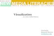 Visualization as a New Media Literacy
