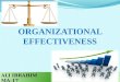 Organixational effectiv