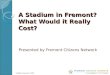 The Real Cost Of Stadium