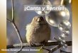 ¡Canta y sonríe! Música: Songbird – Barbra Streisand