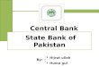 Central bank and state bank of pakistan, Functions, Prudential regulation