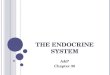 A&P Chapter 31 Endocrine System