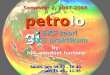 Petrologi 8-sedimen