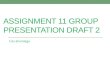 11. group presentation draft 2