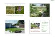 Lawn Alternatives (habitat) - notes