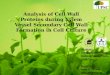 Proteomics studies on Arabidopsis Thaliana