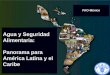 Agua y Seguridad Alimentaria: Panorama para América Latina y el Caribe FAO-México