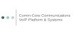CommCore VoIP Wholesale Switch Environment