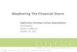 Joseph Buchman - Weathering the Financial Storm