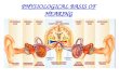 Physiology of hearing 21st july 11
