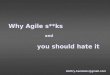Why Agile sucks and you should hate it
