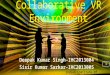 Collaborative Virtual Reality Environment