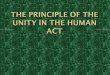 The principle of the unity in the human Act 2