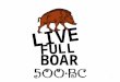 500 bc live full_boar_oct_2013_2