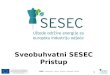 SESEC approach