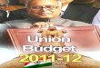 Fainal budget 2011 ppt