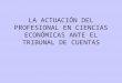 LA ACTUACIÓN DEL PROFESIONAL EN CIENCIAS ECONÓMICAS ANTE EL TRIBUNAL DE CUENTAS