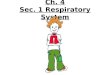8th Grade Ch  4 Sec 1 Respiratory System
