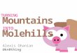 Turning Mountains into Molehills - Alexis Ohanian - May 11, 2010