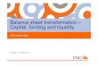 ING Investor Day 2012: Balance sheet transformation – Capital, funding and liquidity