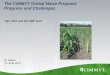 The CIMMYT Global Maize Program: Progress and Challenges