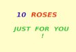 10 Roses For2002