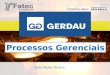 Apresentação Gerdau