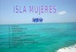Isla Mujeres Proyecto Final