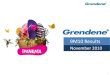 Grendene - 3Q10 and 9M10 Results