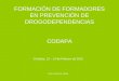FORMACIÓN DE FORMADORES EN PREVENCIÓN DE DROGODEPENDENCIAS CODAPA Córdoba, 13 – 14 de Febrero de 2010 Silvia Camacho Úbeda