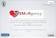 the EMurgency project - LICT workshop on ICT in health