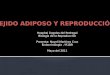 Hospital Ángeles del Pedregal Biología de la Reproducción Presenta: Nayeli Martínez Cruz Endocrinología / R1BR Mayo del 2011