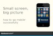 Small screen, big picture - how to 'go mobile' successfully