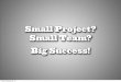 Small Project? Small Team? Big Success!