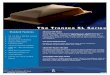 Tranzeo TR – SL9 Series (quantumwimax.com)