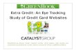 An Eye Tracking study of Credit Card Websites
