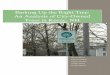 An Analysis of City-Owned Trees in Keene, NH